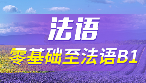 如何備考DELF B2考試？